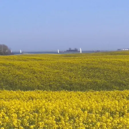 Kiekut In An Der Schlei