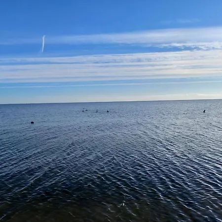 Kiekut In An Der Schlei